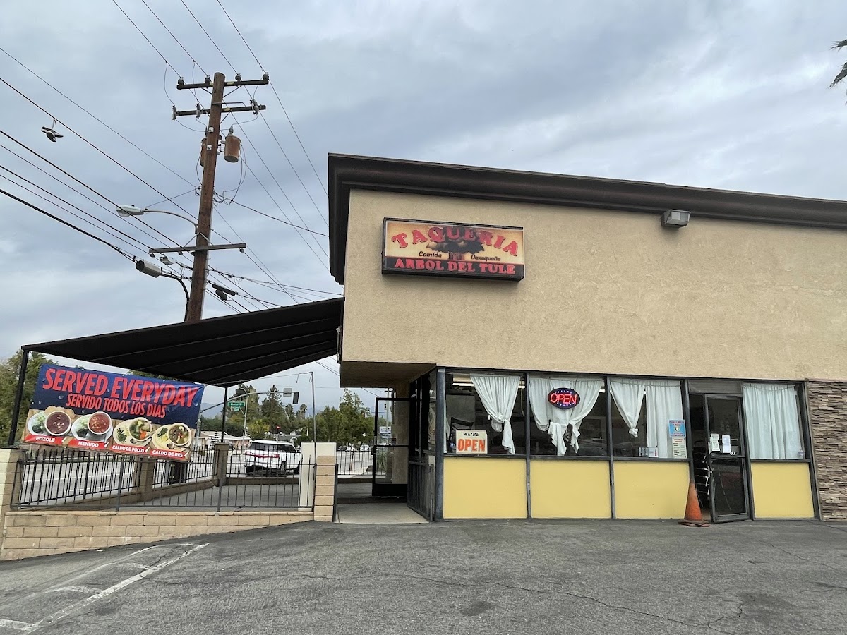 Taqueria Arbol Del Tule